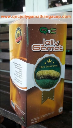 QNC Jelly Gamat